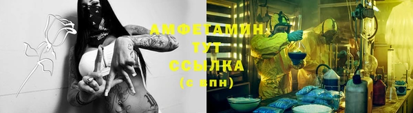 ПСИЛОЦИБИНОВЫЕ ГРИБЫ Липки