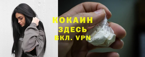 ПСИЛОЦИБИНОВЫЕ ГРИБЫ Липки