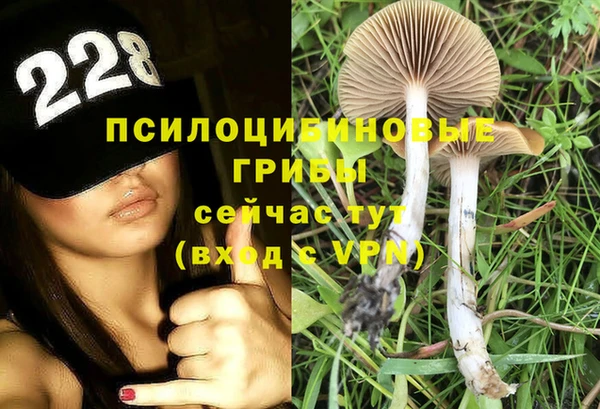 ПСИЛОЦИБИНОВЫЕ ГРИБЫ Липки
