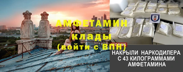 ПСИЛОЦИБИНОВЫЕ ГРИБЫ Липки