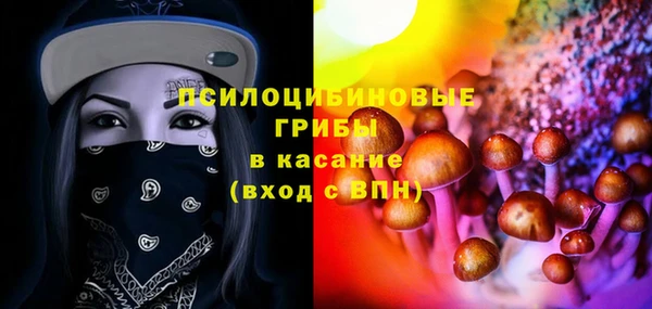 ПСИЛОЦИБИНОВЫЕ ГРИБЫ Липки