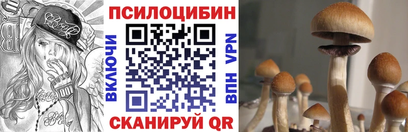 как найти закладки  Суворов  Галлюциногенные грибы мухоморы 